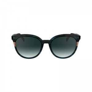 Longchamp Acetate Solbriller Dame Blå | NOWN7903