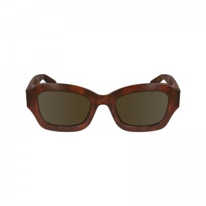 Longchamp Acetate Solbriller Dame Brune | NOOK7948