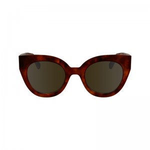 Longchamp Acetate Solbriller Dame Brune | NOGS7942