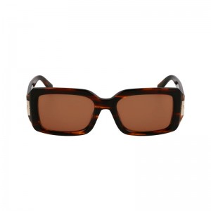 Longchamp Acetate Solbriller Dame Brune | NOZU7924