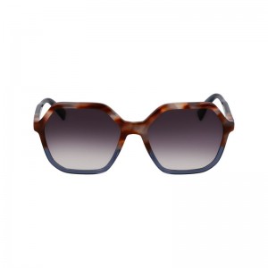 Longchamp Acetate Solbriller Dame Brune Grå Blå | NOIL7897