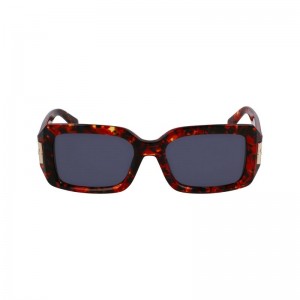 Longchamp Acetate Solbriller Dame Marble Rouge | NOGS7919