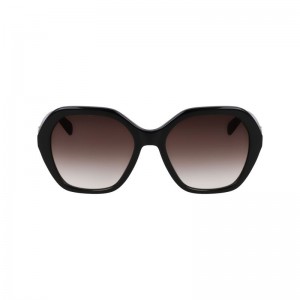 Longchamp Acetate Solbriller Dame Svarte | NONW7932