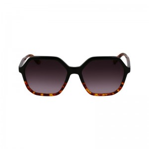 Longchamp Acetate Solbriller Dame Svarte | NOHA7920