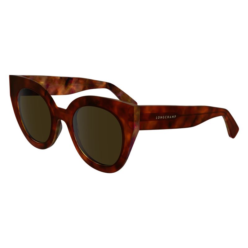 Longchamp Acetate Solbriller Dame Brune | NOGS7942