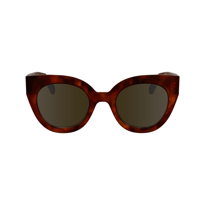 Longchamp Acetate Solbriller Dame Brune | NOGS7942