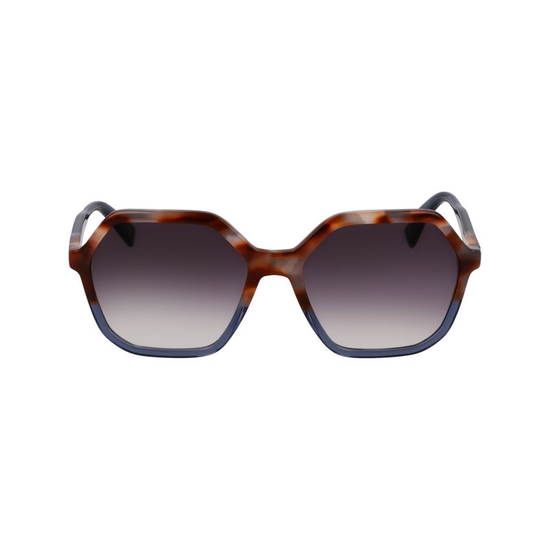 Longchamp Acetate Solbriller Dame Brune Grå Blå | NOIL7897