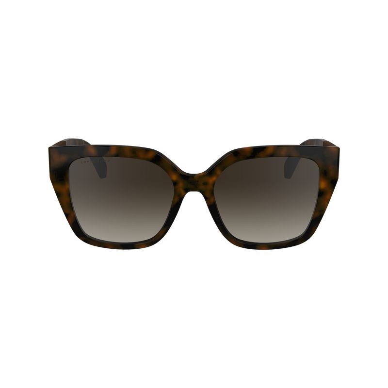 Longchamp Acetate Solbriller Dame Mørke | NOTC7909