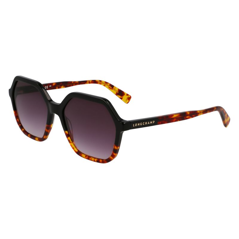 Longchamp Acetate Solbriller Dame Svarte | NOHA7920