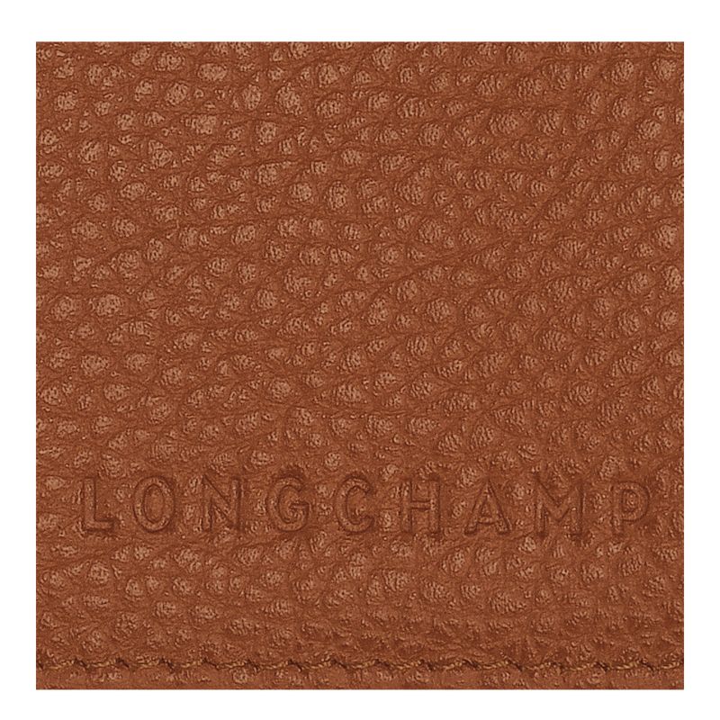 Longchamp Le FoulonnÉ Passport cover Leather Accessories Dame Caramel | NOPJ8226