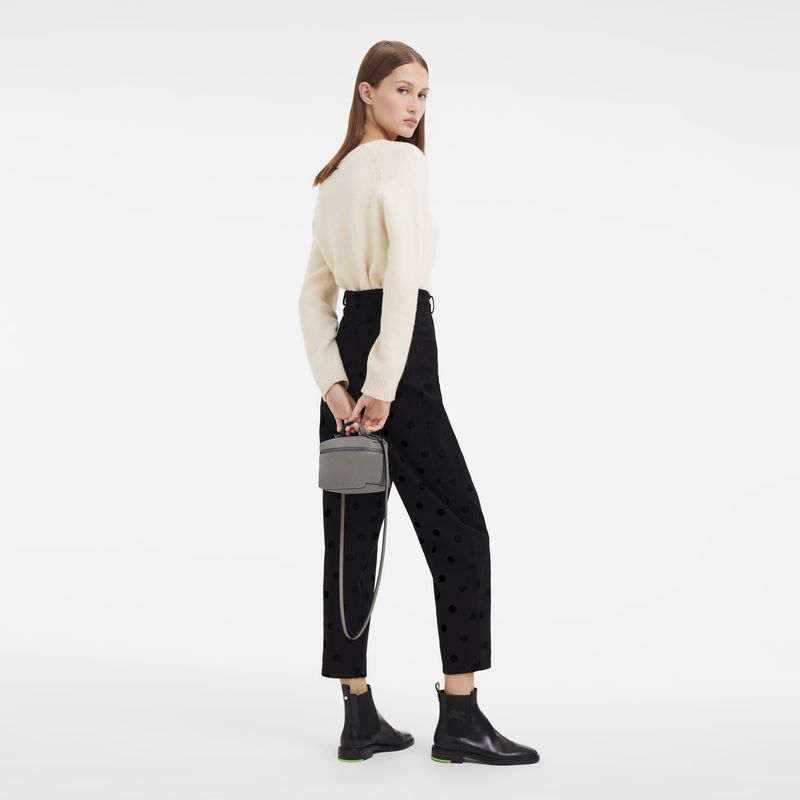 Longchamp Le Pliage Xtra XS Vanity Lær Crossbody Veske Dame Turtledove | NOVR9019