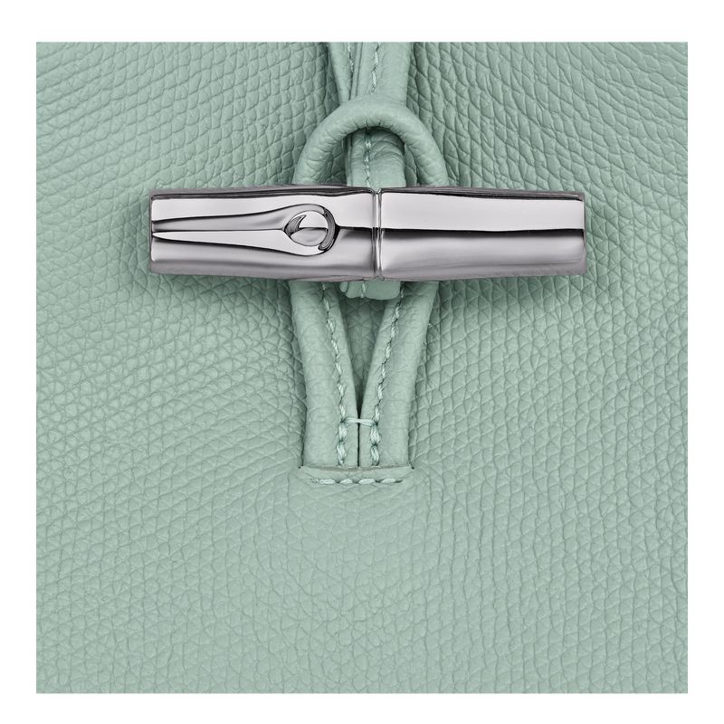 Longchamp Le Roseau 1 Leather Deksel Dame Celadon | NOJP8408