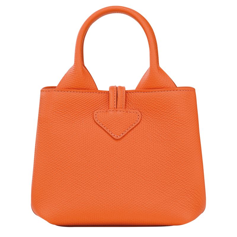 Longchamp Le Roseau XS Handbag Leather Mini Vesker Dame Oransje | NOHA9324